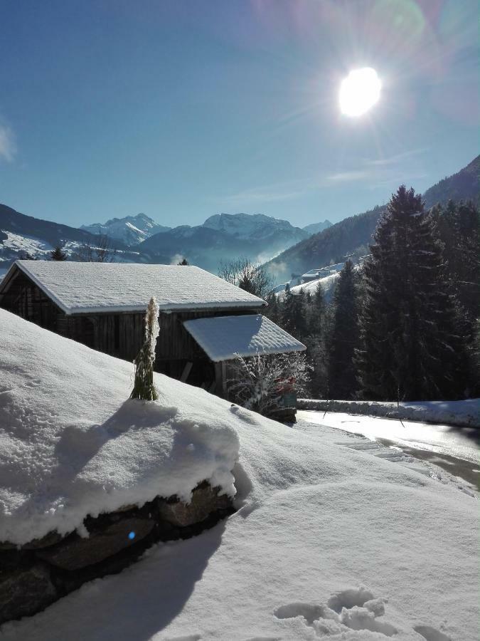 Apart Gerlossteinblick Aschau Im Zillertal Bagian luar foto
